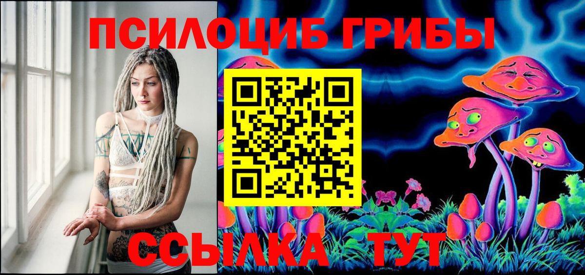 как найти закладки  Псилоцибиновые грибы Cubensis  Вход с VPN  Кострома 